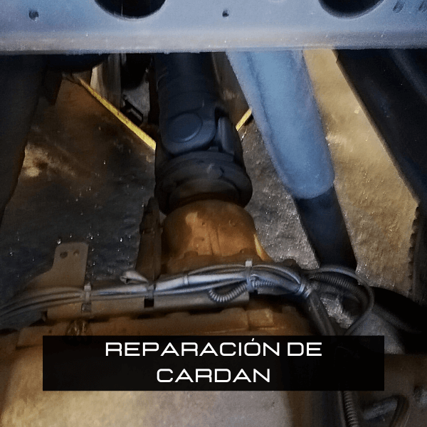Reparacion de Cardan